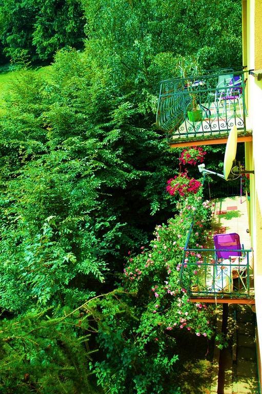 Raj Muszyna Apartamenty Z Widokiem Na Panorame Gorska Exterior foto